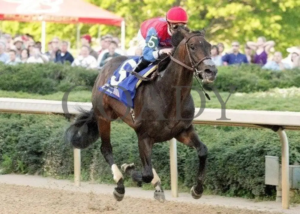 It’s A Bird - The Oaklawn Handicap Park