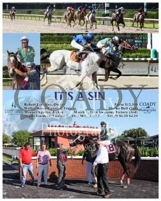 It’s A Sin - 030114 Race 06 Crc Calder Course