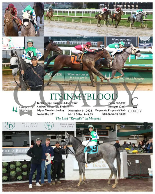 Itsinmyblood - 11-14-24 R09 Cd Churchill Downs