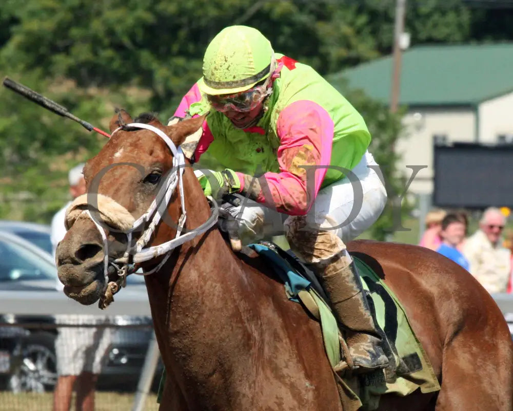 Jac’s Fact - 061415 Race 07 Btp Ins Belterra Park