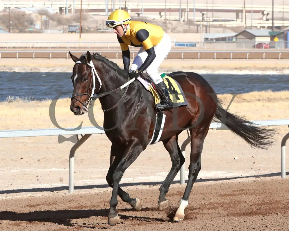 Jaxon Traveler - The 20Th Running Of Ft Bliss Stakes 01-17-25 R06 Sunland Park Return Shot Turfway