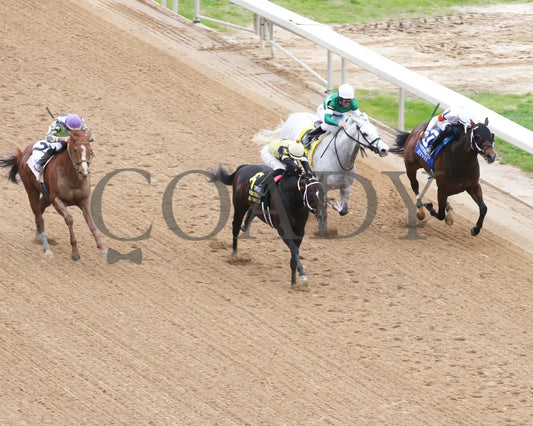 Jaxon Traveler - The Whitmore Stakes G3 78Th Running 03 - 16 - 24 R09 Op Aerial Finish 01 Oaklawn
