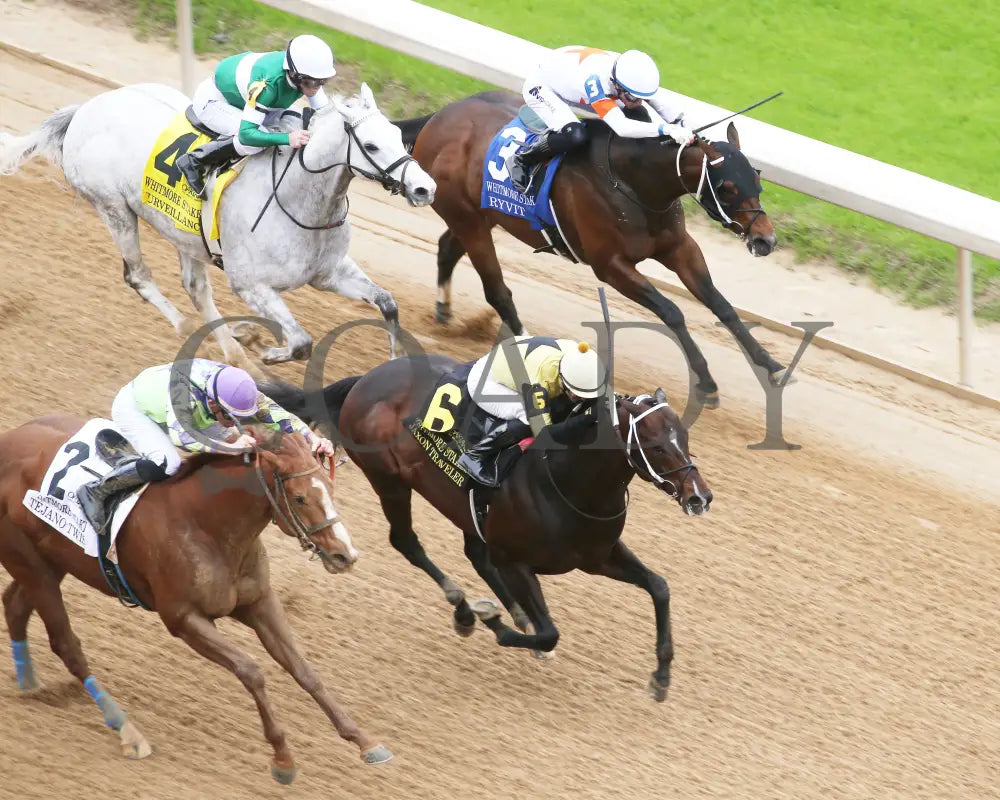 Jaxon Traveler - The Whitmore Stakes G3 78Th Running 03 - 16 - 24 R09 Op Aerial Finish 02 Oaklawn