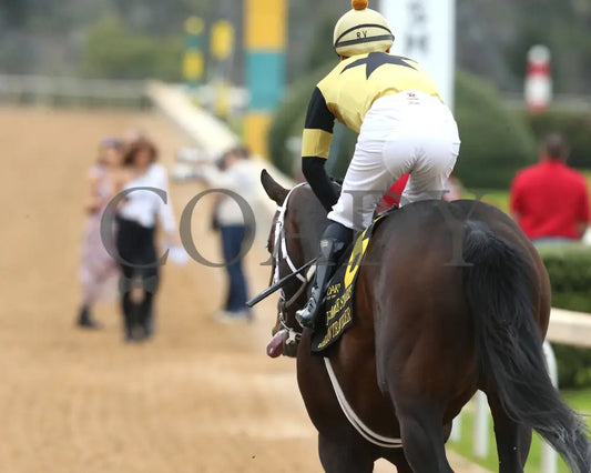 Jaxon Traveler - The Whitmore Stakes G3 78Th Running 03 - 16 - 24 R09 Op Come Back 01 Oaklawn Park