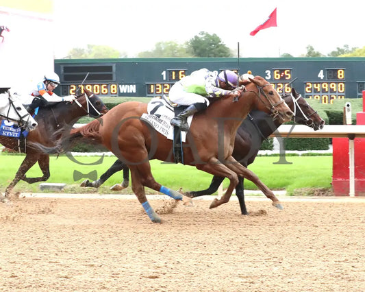 Jaxon Traveler - The Whitmore Stakes G3 78Th Running 03 - 16 - 24 R09 Op Finish 01 Oaklawn Park