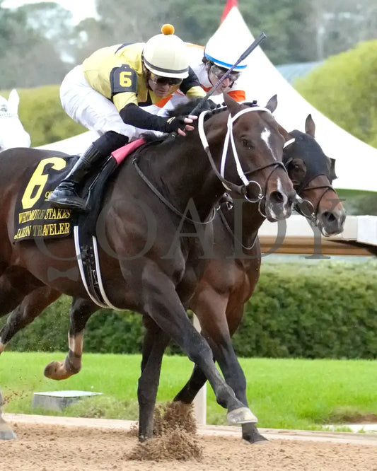 Jaxon Traveler - The Whitmore Stakes G3 78Th Running 03 - 16 - 24 R09 Op Finish 04 Oaklawn Park