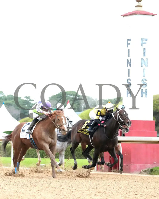Jaxon Traveler - The Whitmore Stakes G3 78Th Running 03 - 16 - 24 R09 Op Finish 03 Oaklawn Park