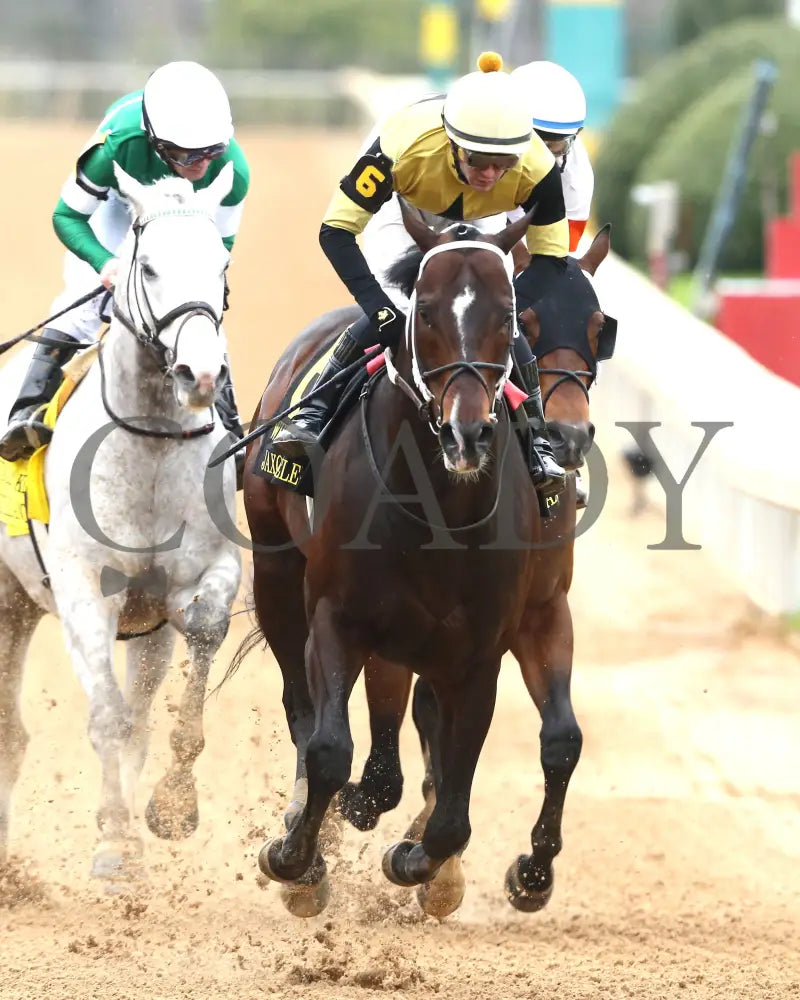 Jaxon Traveler - The Whitmore Stakes G3 78Th Running 03 - 16 - 24 R09 Op Gallop Out 01 Oaklawn Park