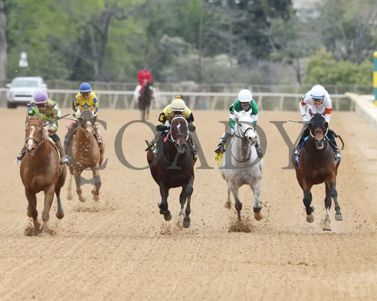Jaxon Traveler - The Whitmore Stakes G3 78Th Running 03 - 16 - 24 R09 Op Head On 01 Oaklawn Park
