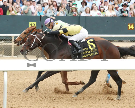 Jaxon Traveler - The Whitmore Stakes G3 78Th Running 03 - 16 - 24 R09 Op Inside Finish 01 Oaklawn