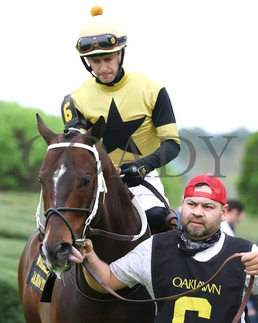 Jaxon Traveler - The Whitmore Stakes G3 78Th Running 03 - 16 - 24 R09 Op Paddock 02 Oaklawn Park