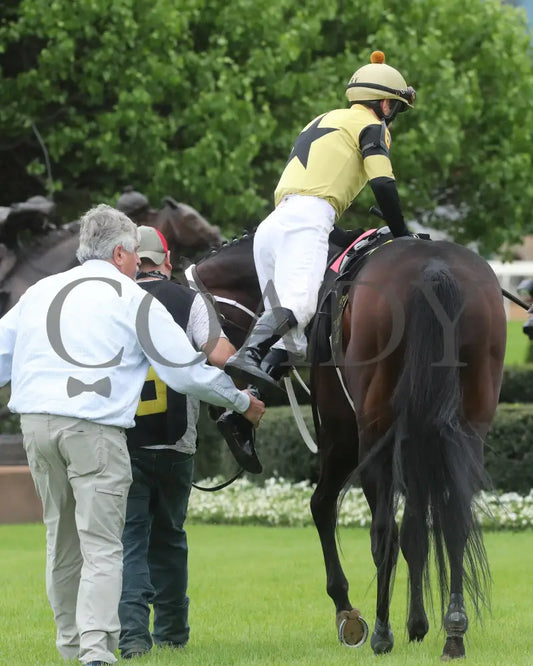 Jaxon Traveler - The Whitmore Stakes G3 78Th Running 03 - 16 - 24 R09 Op Paddock 04 Oaklawn Park