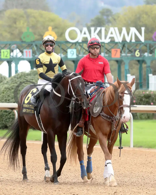 Jaxon Traveler - The Whitmore Stakes G3 78Th Running 03 - 16 - 24 R09 Op Post Parade 01 Oaklawn Park