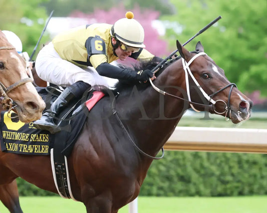Jaxon Traveler - The Whitmore Stakes G3 78Th Running 03 - 16 - 24 R09 Op Tight Finish 02 Oaklawn