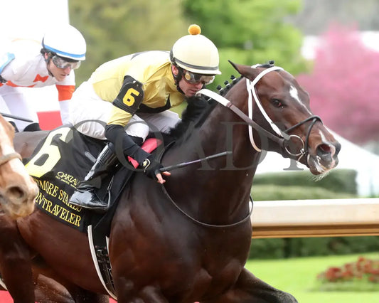 Jaxon Traveler - The Whitmore Stakes G3 78Th Running 03 - 16 - 24 R09 Op Tight Finish 03 Oaklawn