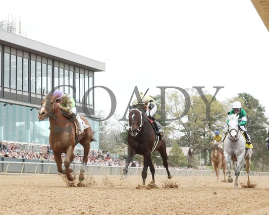 Jaxon Traveler - The Whitmore Stakes G3 78Th Running 03 - 16 - 24 R09 Op Under Rail 01 Oaklawn Park
