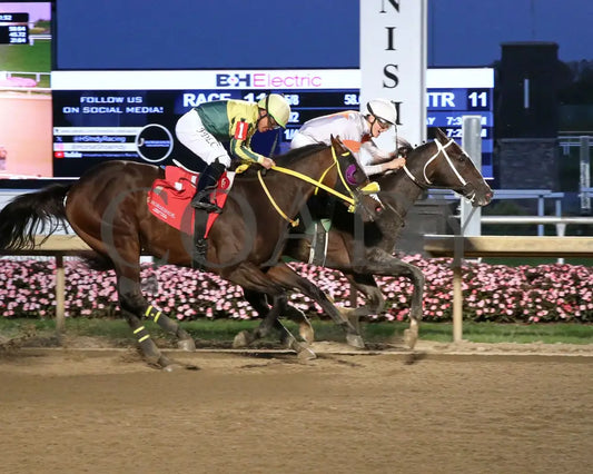 Jazzole - Circle City 24Th Running 10-02-24 R11 Horseshoe Indiana Finish 01 Sammantha Pagels Grand