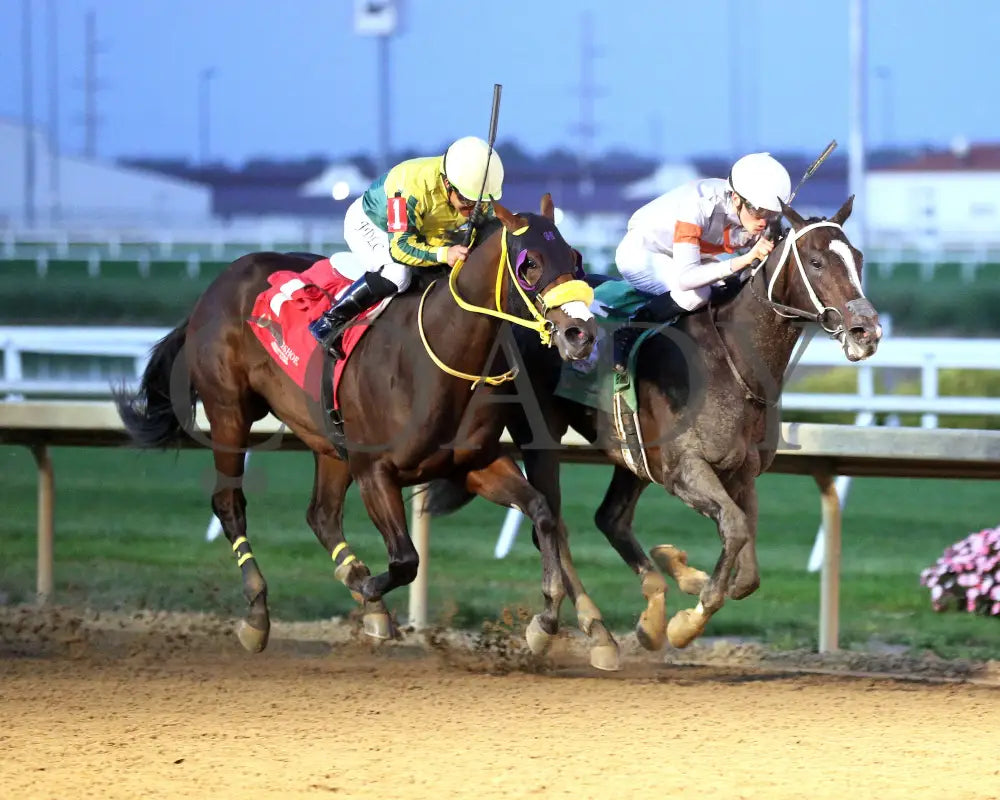 Jazzole - Circle City 24Th Running 10-02-24 R11 Horseshoe Indiana Finish 02 Ronald Hisby Grand