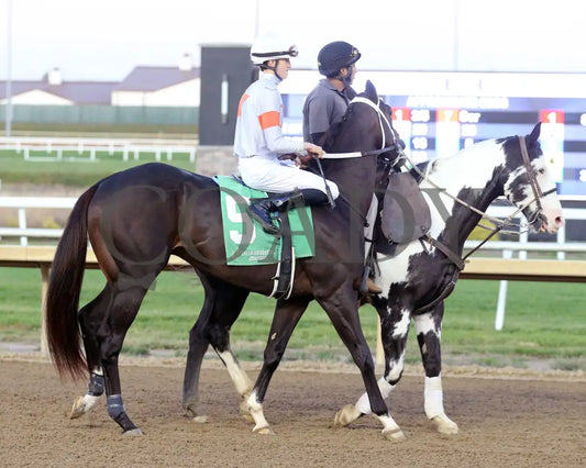 Jazzole - Circle City 24Th Running 10-02-24 R11 Horseshoe Indiana Post Parade 01 Sammantha Pagels