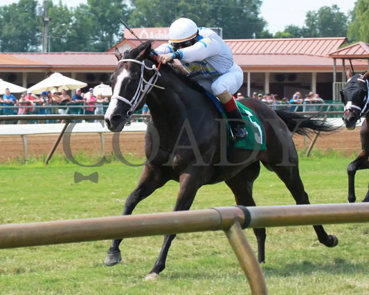 JAZZY TIMES - 080518 - Race 05 - ELP - Inside Finish 01 - Coady Media - Kurtis Coady Photography