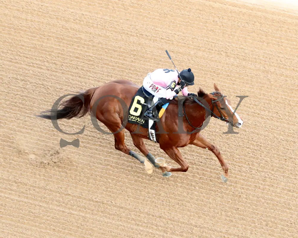 JERSEY PEARL - Poinsettia Stakes - 12-21-25 - R08 - OP - Aerial Finish 01 - Coady Media - Kurtis Coady Photography