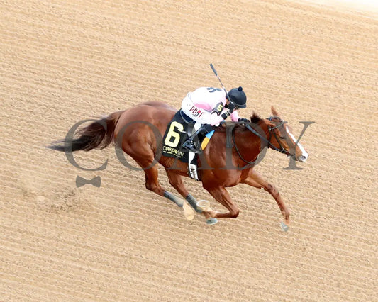 JERSEY PEARL - Poinsettia Stakes - 12-21-25 - R08 - OP - Aerial Finish 01 - Coady Media - Kurtis Coady Photography