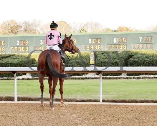 JERSEY PEARL - Poinsettia Stakes - 12-21-25 - R08 - OP - Come Back 01 - Coady Media - Kurtis Coady Photography