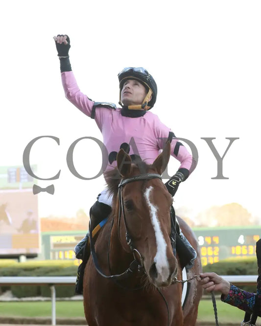 JERSEY PEARL - Poinsettia Stakes - 12-21-25 - R08 - OP - Come Back 03 - Coady Media - Kurtis Coady Photography