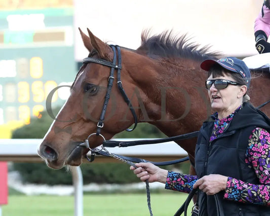 JERSEY PEARL - Poinsettia Stakes - 12-21-25 - R08 - OP - Come Back 04 - Coady Media - Kurtis Coady Photography