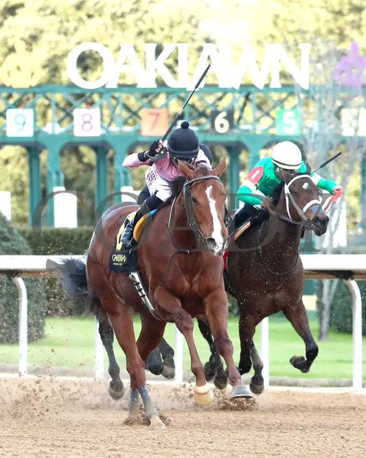 JERSEY PEARL - Poinsettia Stakes - 12-21-25 - R08 - OP - Finish 02 - Coady Media - Kurtis Coady Photography