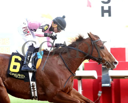 JERSEY PEARL - Poinsettia Stakes - 12-21-25 - R08 - OP - Finish 04 - Coady Media - Kurtis Coady Photography