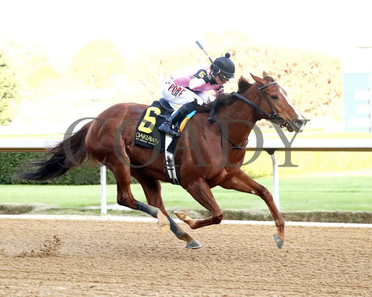 JERSEY PEARL - Poinsettia Stakes - 12-21-25 - R08 - OP - Finish 05 - Coady Media - Kurtis Coady Photography