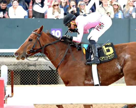 JERSEY PEARL - Poinsettia Stakes - 12-21-25 - R08 - OP - Inside Finish 01 - Coady Media - Kurtis Coady Photography