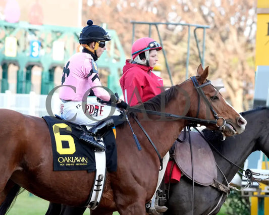 JERSEY PEARL - Poinsettia Stakes - 12-21-25 - R08 - OP - Post Parade 02 - Coady Media - Kurtis Coady Photography