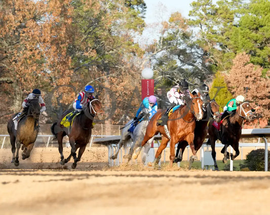 JERSEY PEARL - Poinsettia Stakes - 12-21-25 - R08 - OP - Turn 01 - Coady Media - Kurtis Coady Photography
