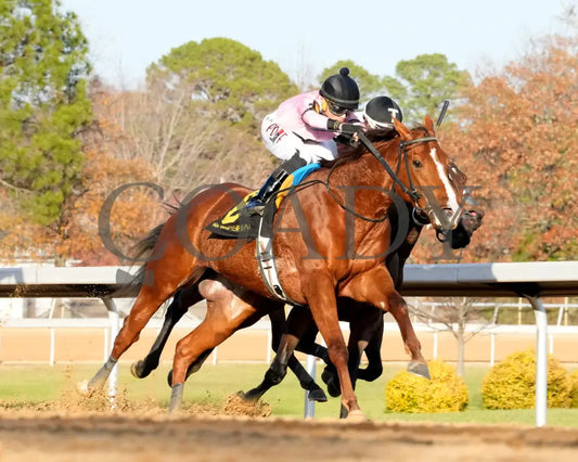 JERSEY PEARL - Poinsettia Stakes - 12-21-25 - R08 - OP - Turn 02 - Coady Media - Kurtis Coady Photography
