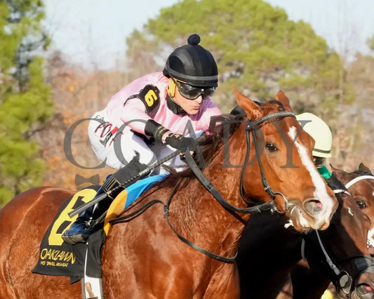 JERSEY PEARL - Poinsettia Stakes - 12-21-25 - R08 - OP - Turn 03 - Coady Media - Kurtis Coady Photography