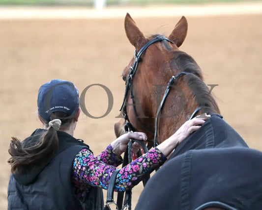 JERSEY PEARL - Poinsettia Stakes - 12-21-25 - R08 - OP - Walk Back 01 - Coady Media - Kurtis Coady Photography