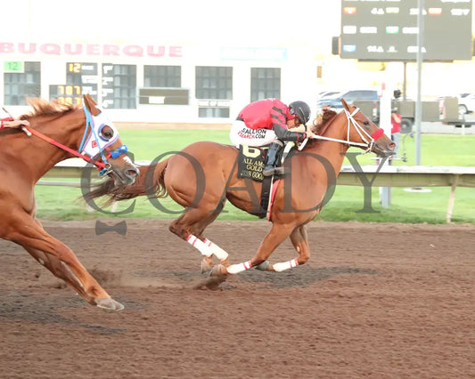 Jess Good Wine - All American Quarter Horse Gold Cup S 09-02-24 R12 The Downs At Albuquerque Finish