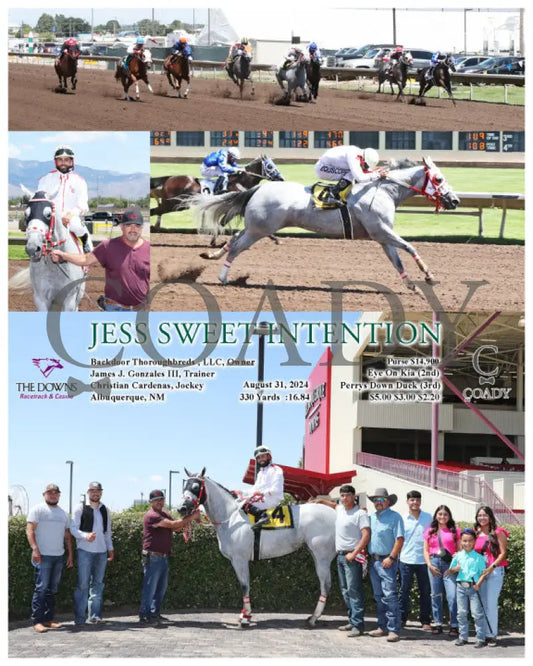 Jess Sweet Intention - 08-31-24 R01 Alb Downs At Albuquerque