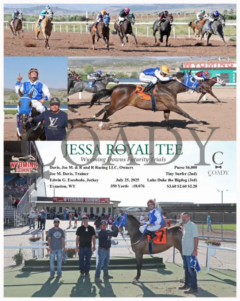JESSA ROYAL TEE - Wyoming Downs Futurity Trials - 07-25-25 - R07 - WYO Wyoming Downs