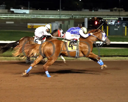 JO NITA FOOSE AROUND - The Albuquerque Juvenile - 10-18-25 - R03 - The Downs at Albuquerque - Aerial Finish 01 Downs at