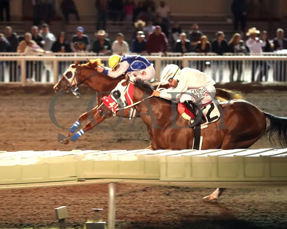 JO NITA FOOSE AROUND - The Albuquerque Juvenile - 10-18-25 - R03 - The Downs at Albuquerque - Finish 02 Downs at