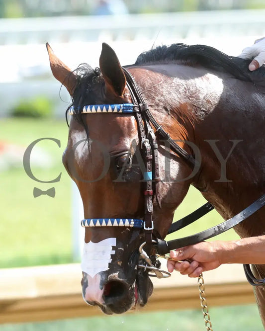 Joe Shiesty - The William Walker 05-01-24 R09 Cd Come Back 02 Churchill Downs