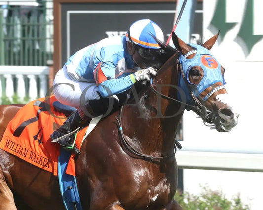 Joe Shiesty - The William Walker 05-01-24 R09 Cd Tight Finish 01 Churchill Downs