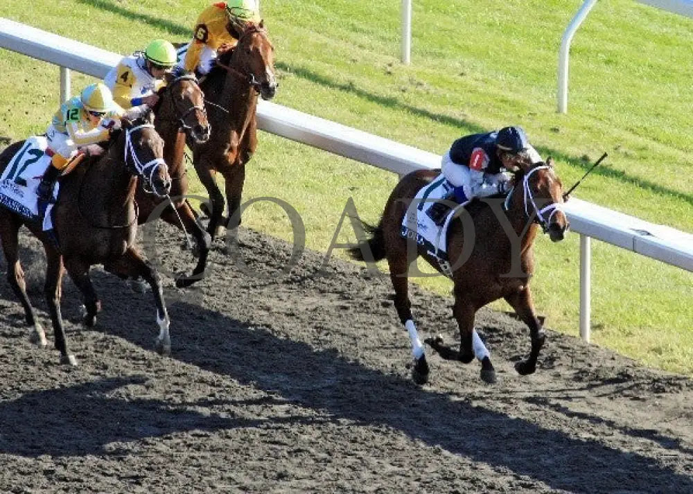 Joha - 100612 Race 08 Aerial Keeneland