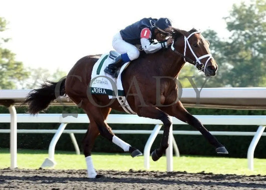 Joha - 100612 Race 08 Finish 2 Keeneland