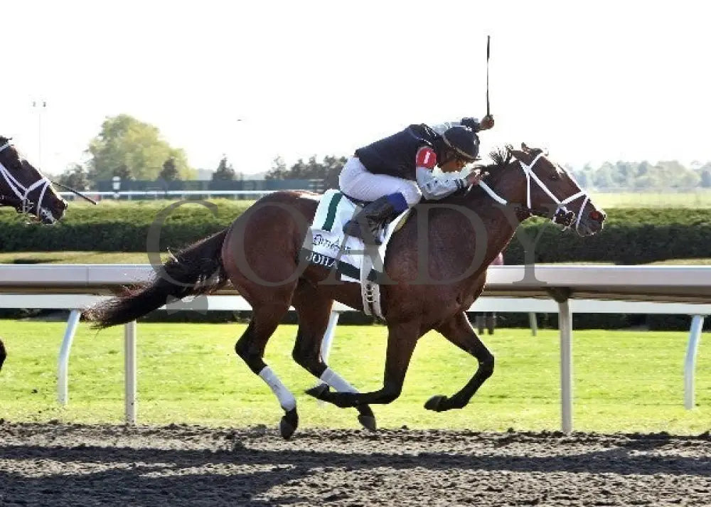 Joha - 100612 Race 08 Finish Keeneland