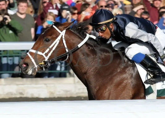 Joha - 100612 Race 08 Inside Keeneland