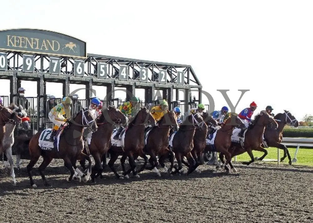 Joha - 100612 Race 08 Start Keeneland